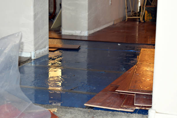 Professional Water Extraction technician working in Collins, WI